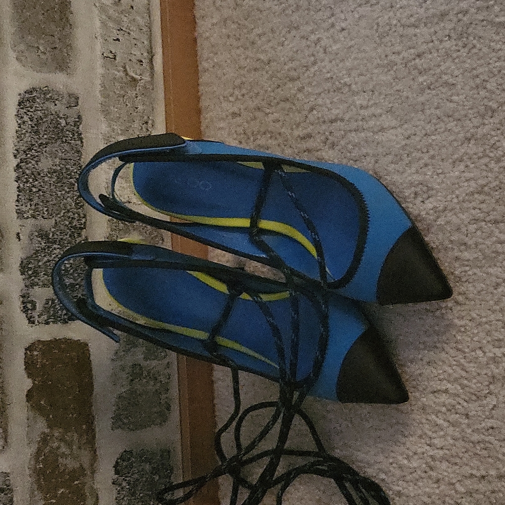 ALDO Stiletto Slingback Pumps